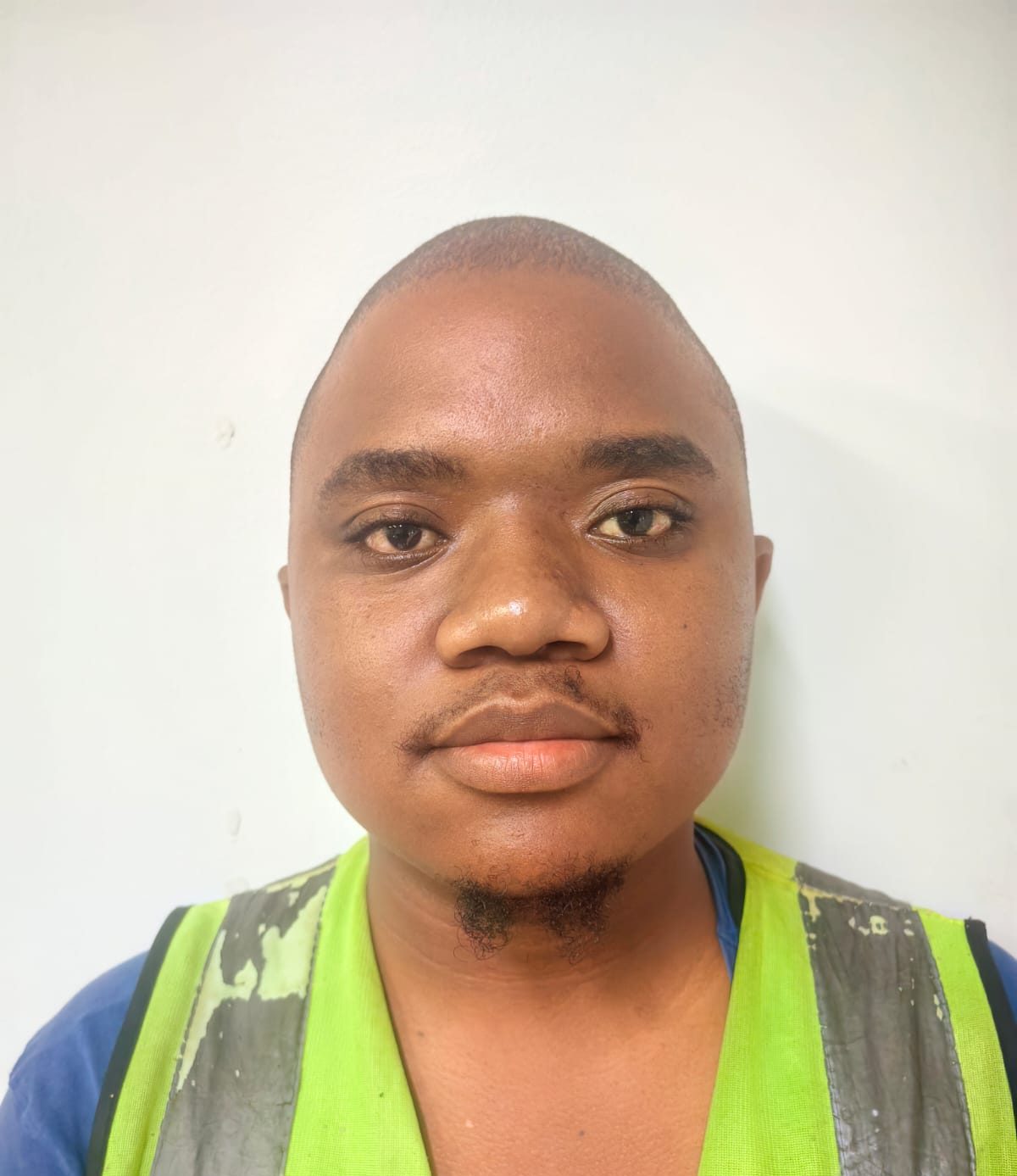 Zimisele Maluleka